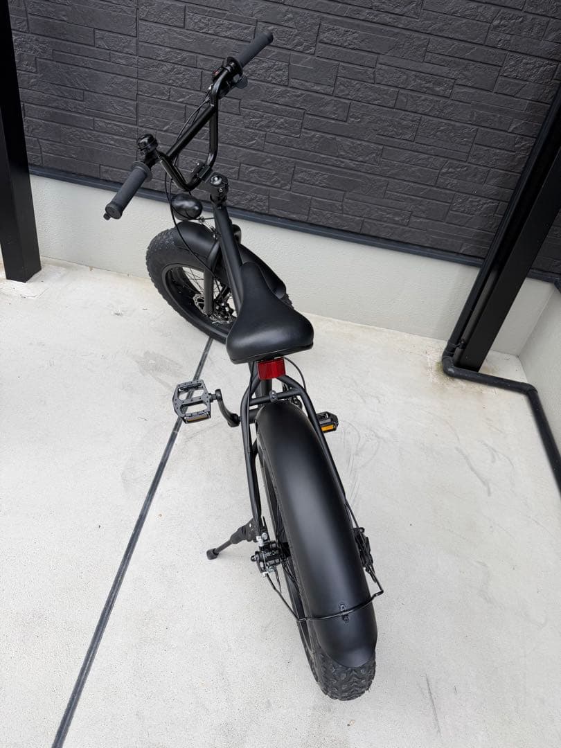 【pokkun】 bronx 20インチ　カスタム Matte black