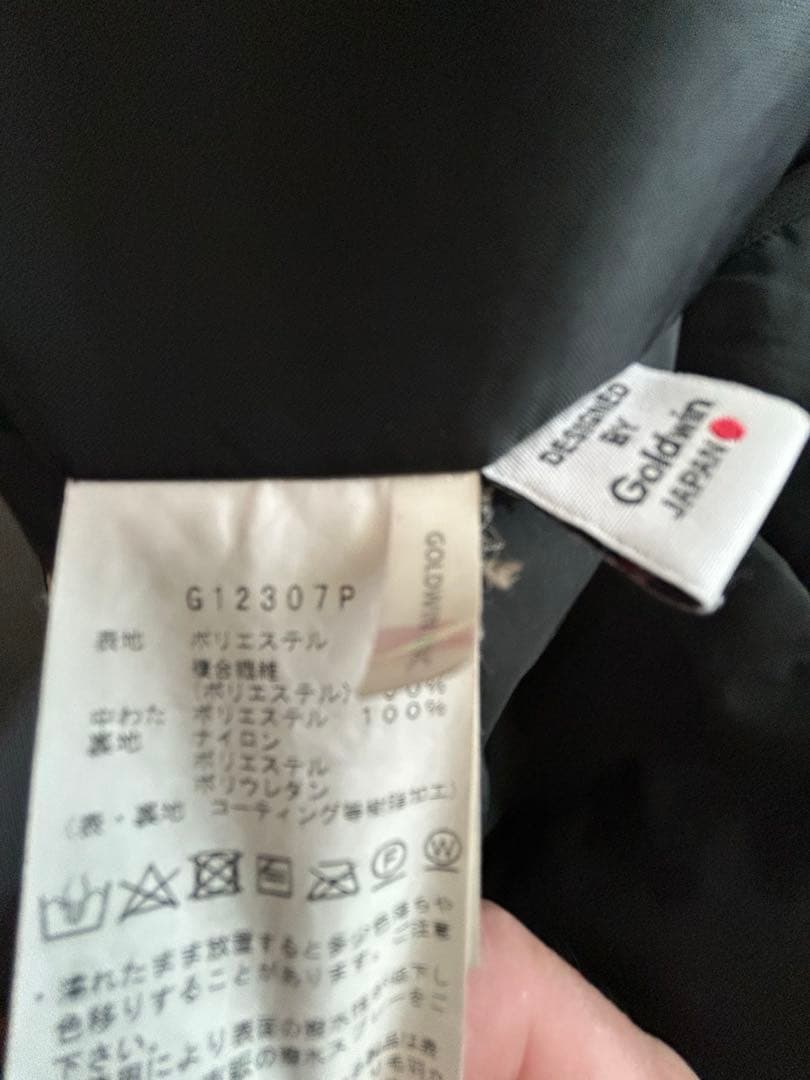 Goldwin スキーウェア上M下Ｌ