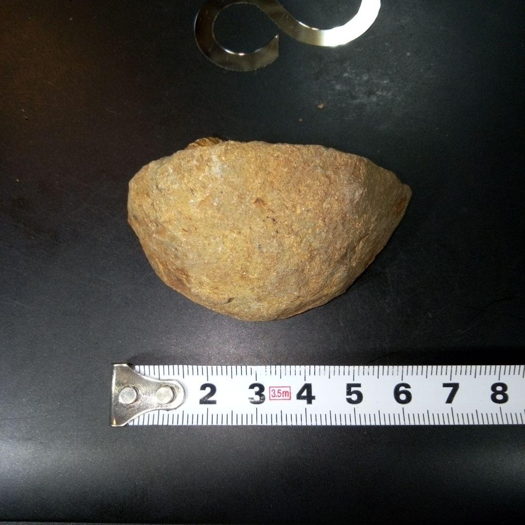 三葉虫　化石　fossil　ボリビア産　レア　Fossil管理⑦