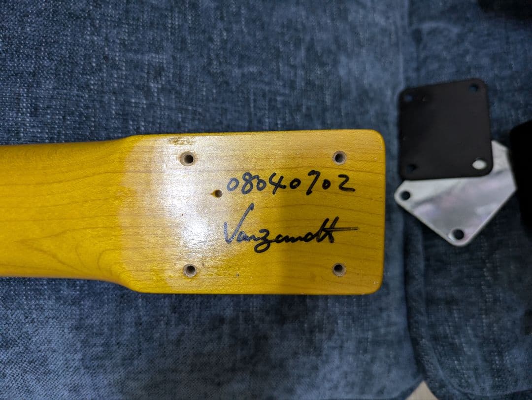 【65 Jazzmaster】vanzandt TLV-R3