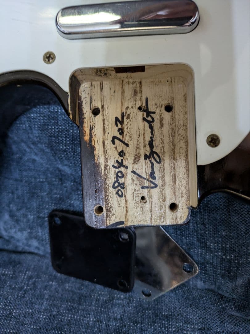 【65 Jazzmaster】vanzandt TLV-R3