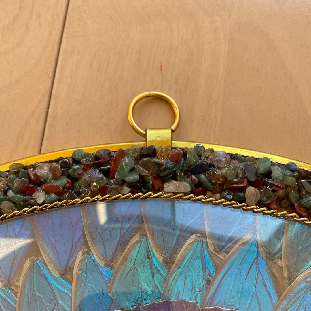 【ブラジル産】アンティーク モルフォ蝶 剥製 オブジェ 壁掛け