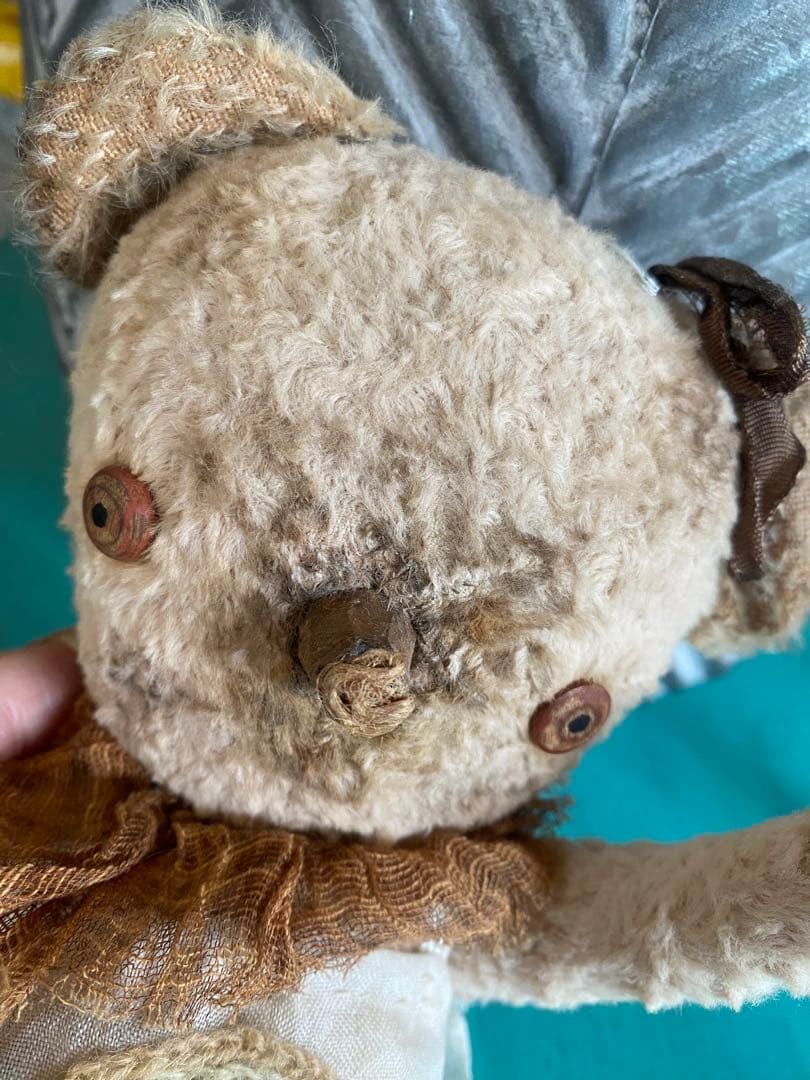 個性的 テディベア 作家さん