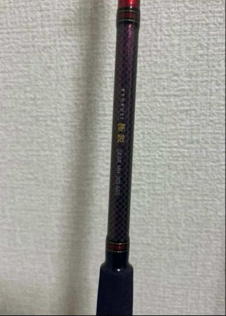 Daiwa ダイワ 極鋭ギア　MH-205 AGS 船竿