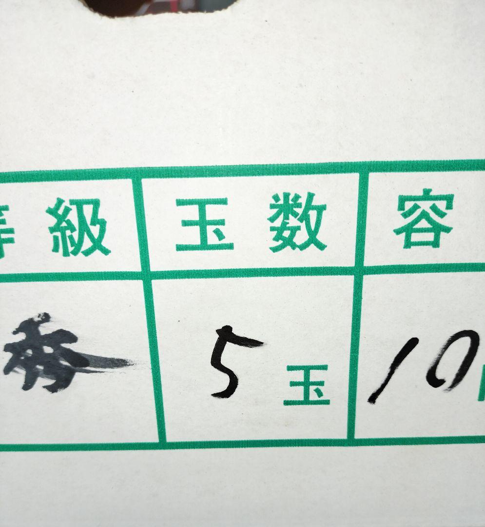 ル*キ様 高知産　約１０ｋｇ　温室栽培スイカ　５玉　秀品　北海道沖縄発送不可