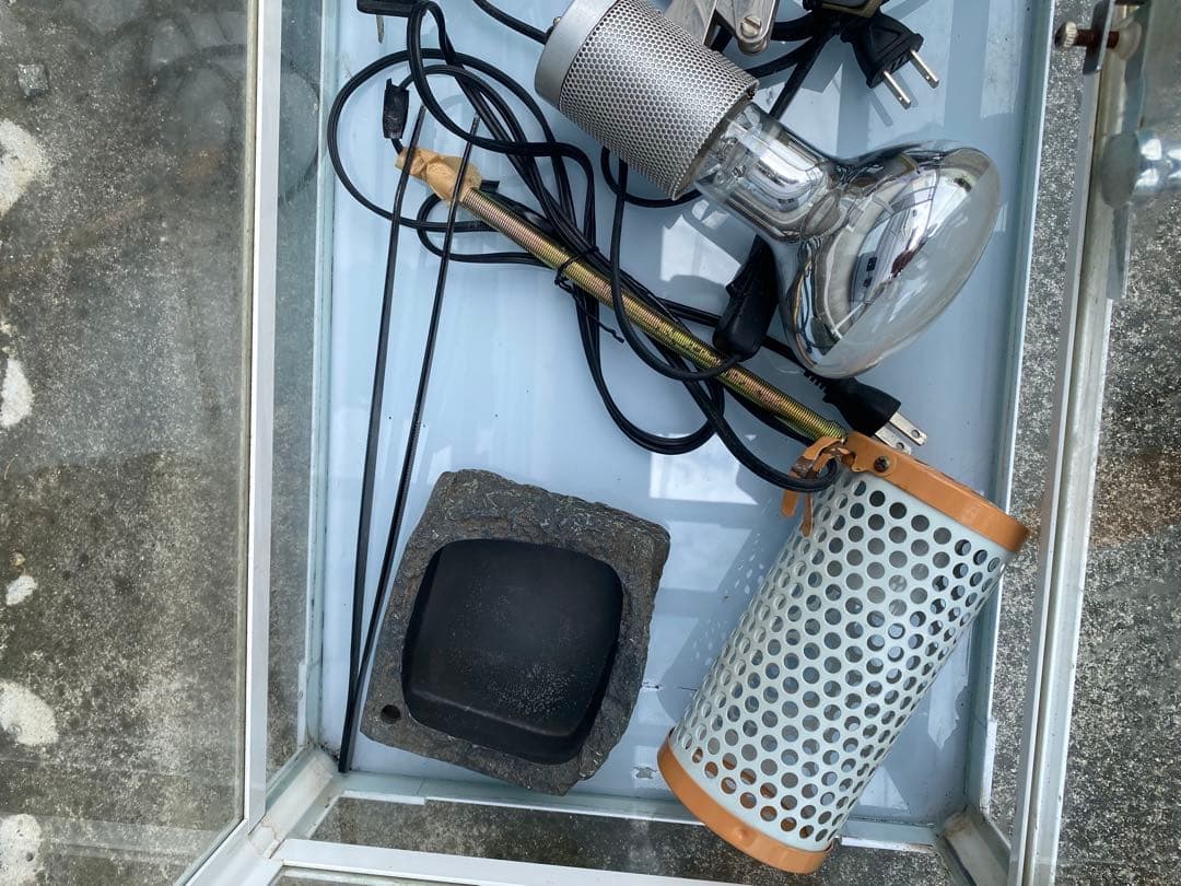 中古　爬虫類飼育セット　手渡しのみ