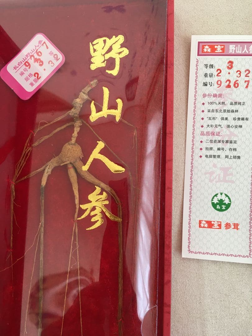 天然￼高麗人参