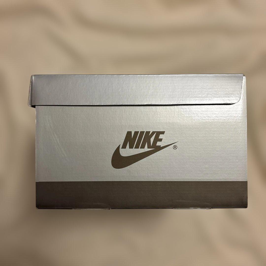 MEDICOM TOY×NIKE SB REESE FORBES フィギュア限定