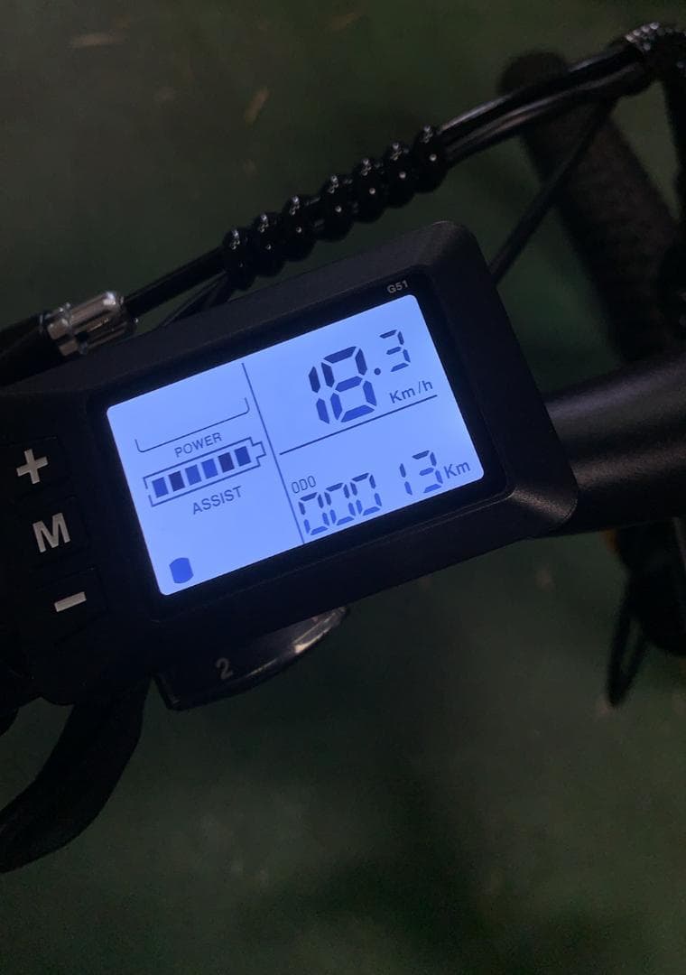 Vigobik 電動アシスト自転車 26インチ 電動マウンテンアシスト自転車