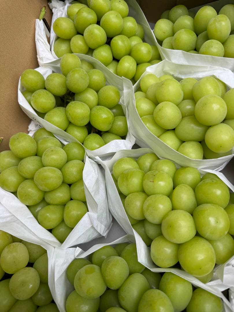 山梨県産JA共選品シャインマスカット⭐️8房入り箱込み約6.3キロ