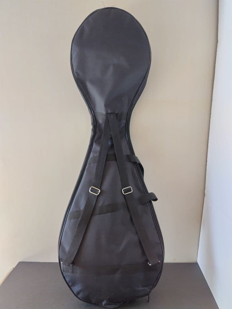 中国琵琶、ケース、弦、DVD