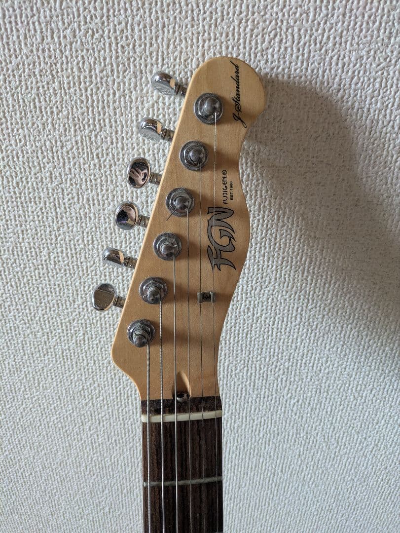 ギター FUJIGEN JTL-5R