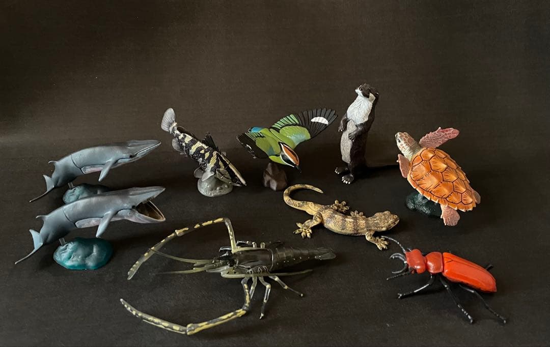 カプセルＱ 日本の動物コレクションⅣ 四国