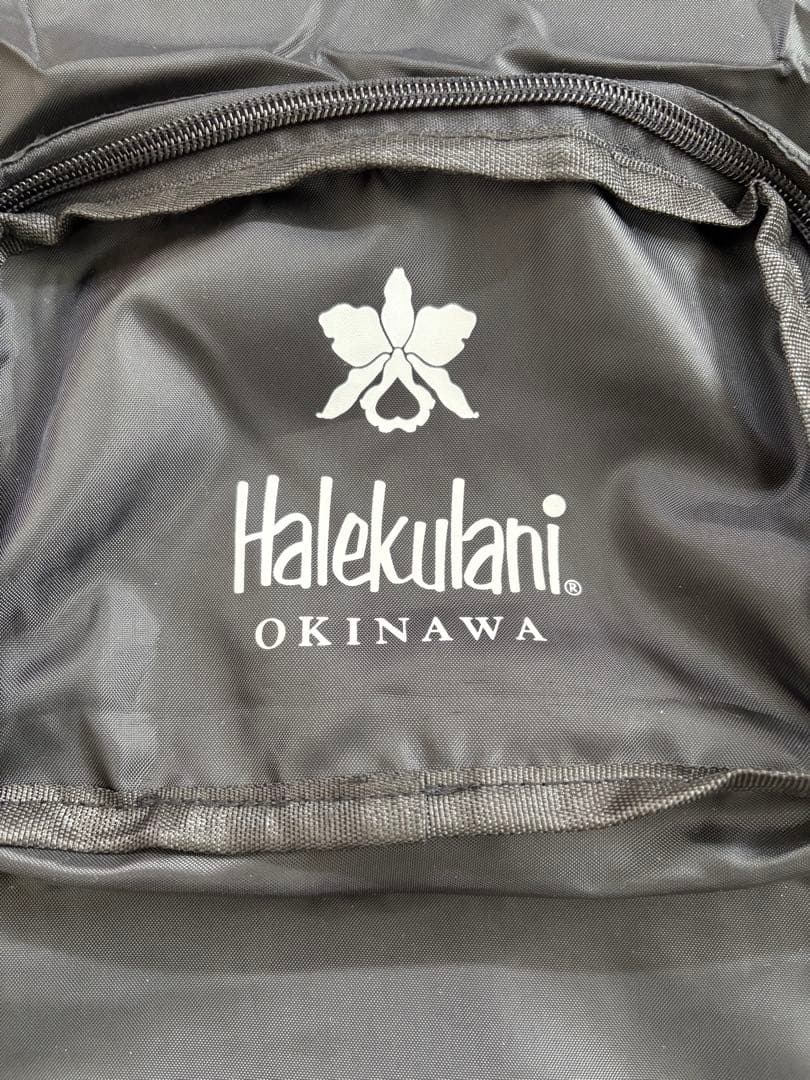 ハレクラニ沖縄 ガーメントバッグ 新品未使用タグ付き