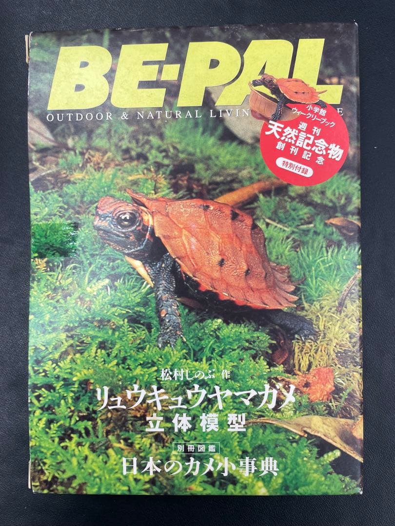 ビーパル　チョコエッグ　リュウキュウヤマガメ×4体　チョコラザウルス×２種