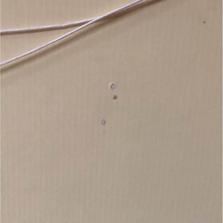 スヌーピー  ジグソーパズル  完成品