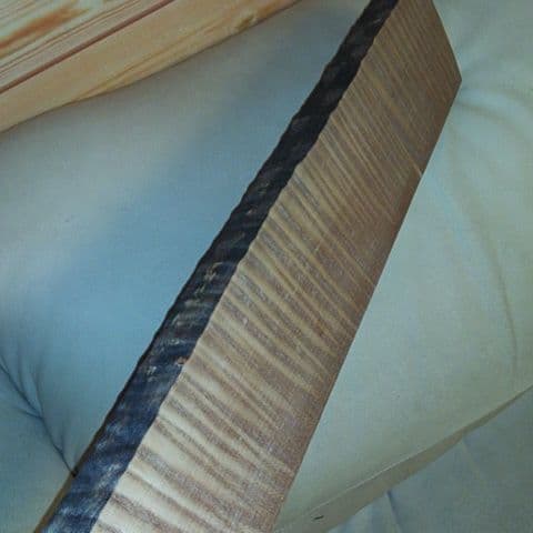 カーリーメイプル