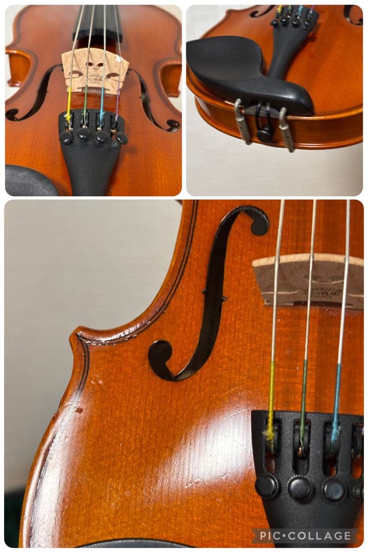 アンドレアイーストマン　バイオリン　VL80 　1/8 2019