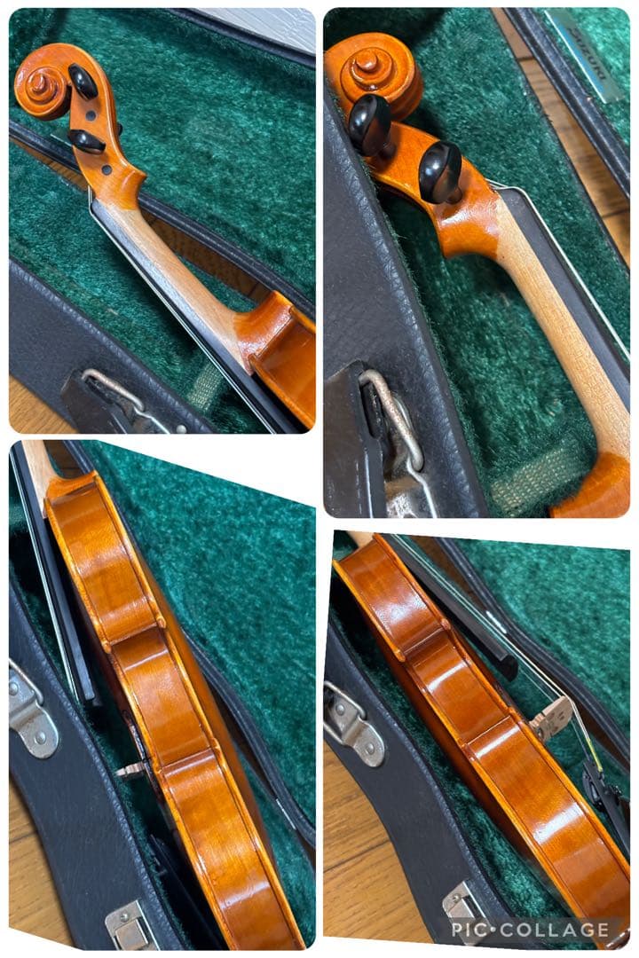 アンドレアイーストマン　バイオリン　VL80 　1/8 2019