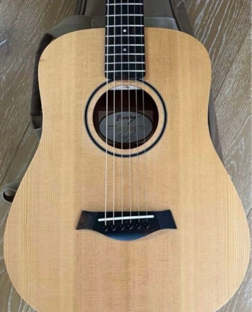 Baby Taylor BT1e_エレアコ