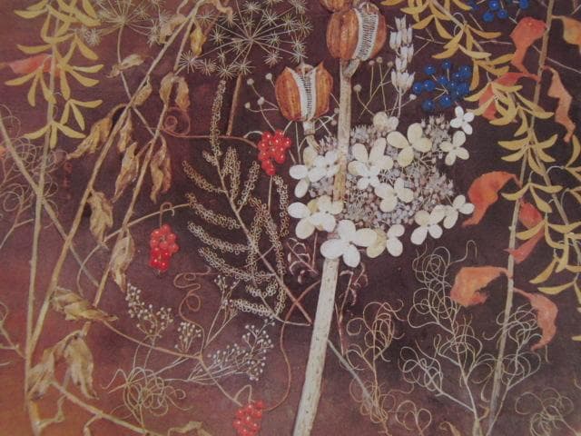 堀文子、【冬の華】、希少な額装用画集より、新品額装付、状態良好