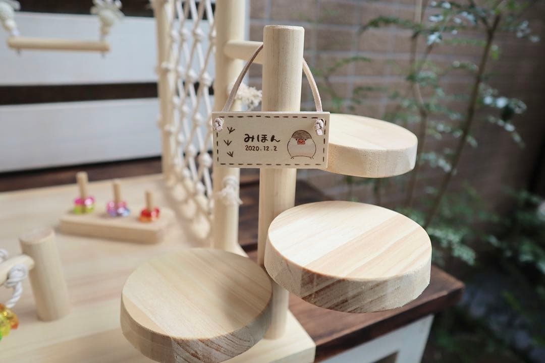 ことりのおおきなあそびば　文鳥　インコ　バードジム　バードアスレチック