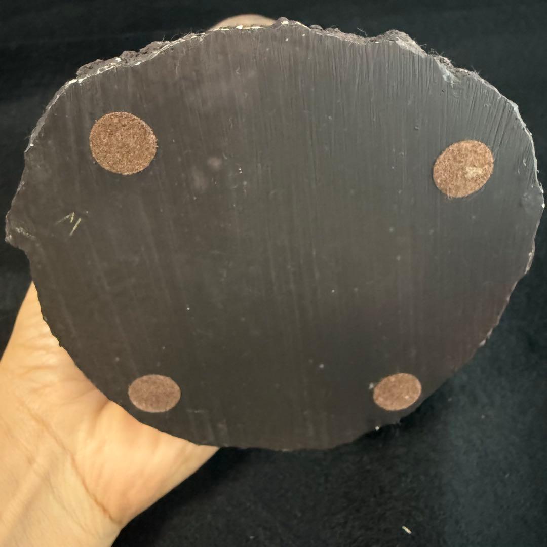 ギャンゴ おとなりのかいじゅう 18cm フィギュア ウルトラマン ウルトラ怪獣