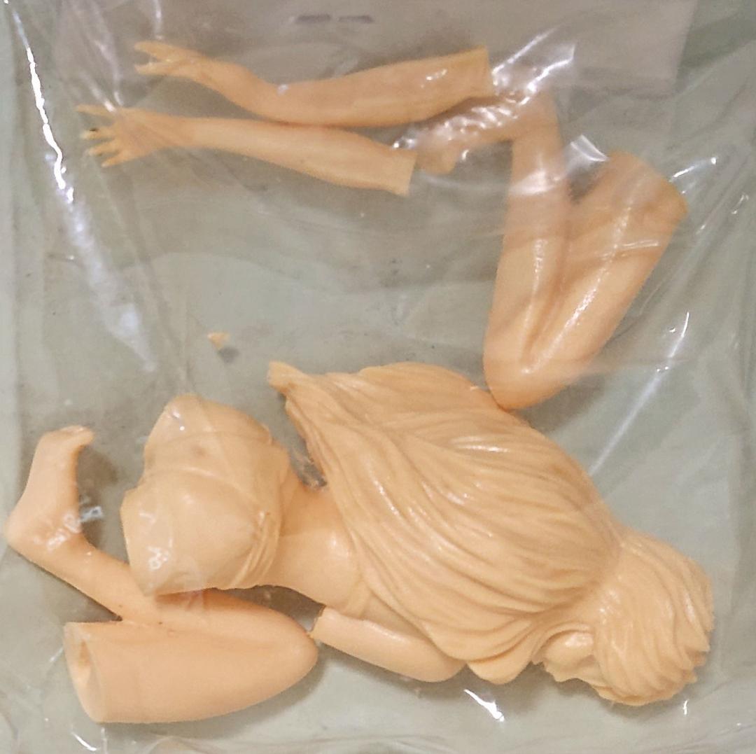 メガゾーン23 PARTII 時祭イヴ EVE ガレージキット 1/12