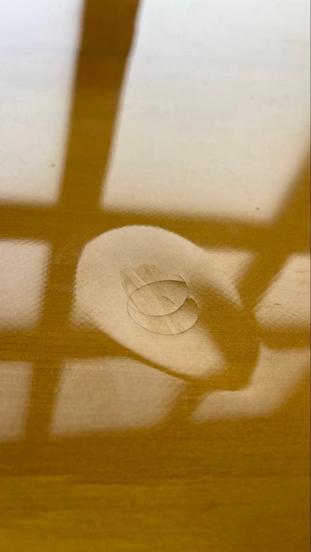 ナイトトレインサーフボード　ツインフィッシュ