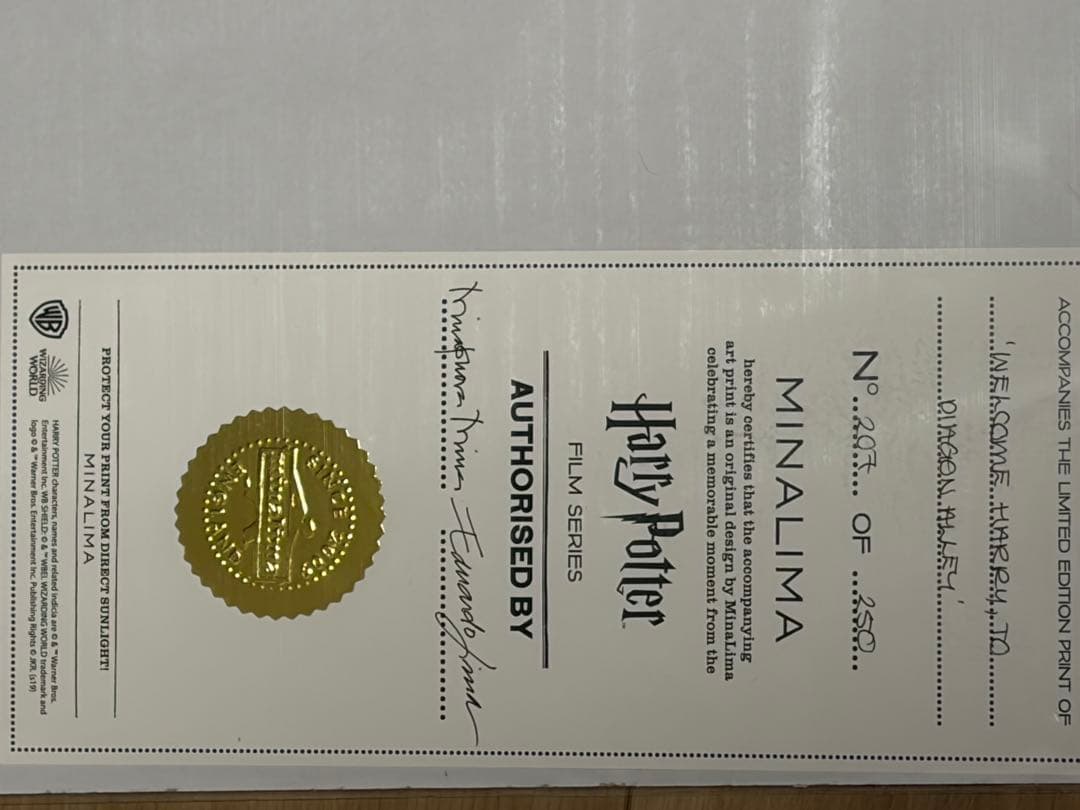 ハリー・ポッター ダイアゴン横丁 プレミアムプリント