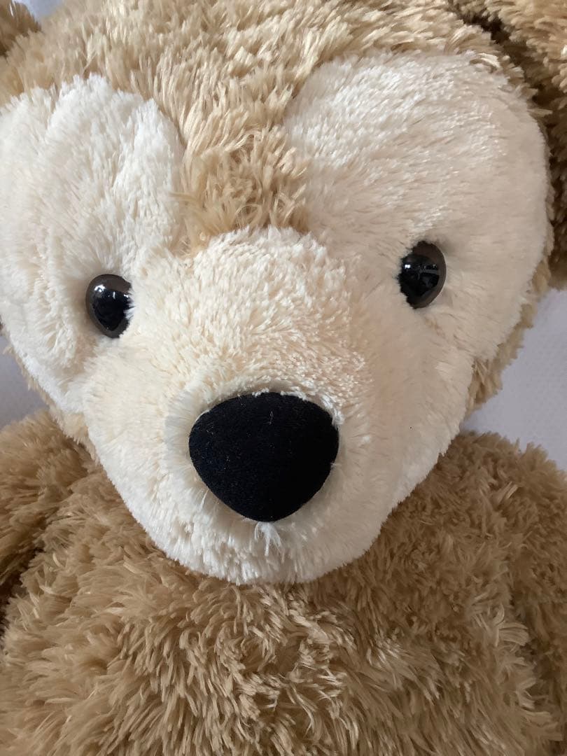 TDRTDSTDL ダッフィー　徳大　LL ディズニーシー