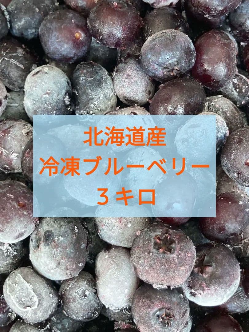 【無農薬】 北海道産ブルーベリー ３キロ
