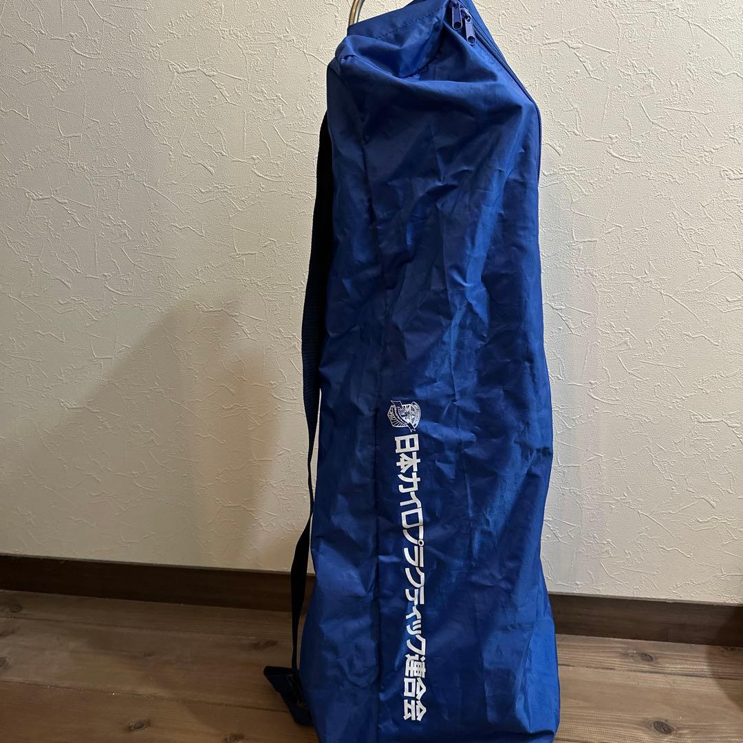 ドイツ製 人体脊椎模型 可動式 約85cm（カイロプラクティック）