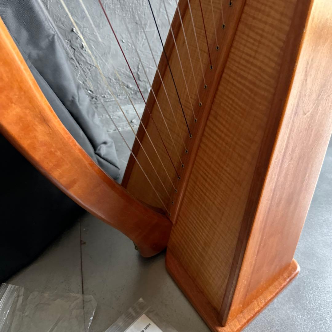 明日削除❣️ハープ22弦　弦たくさんついてます！中古