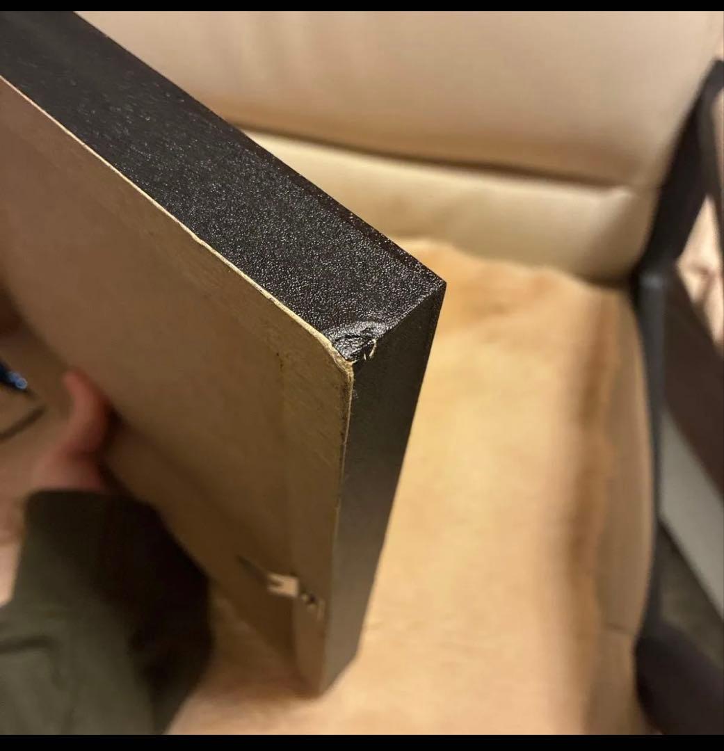 LABUBU THE MONSTERS Big into Energyアート