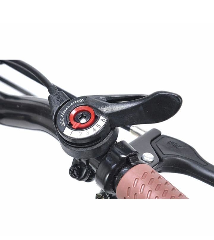 MYPALLAS MF202 折りたたみ自転車 20インチ シマノ製　6段変速