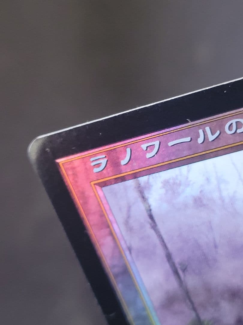 ラノワールの荒原/Llanowar Wastes　APC 日本語版 foil