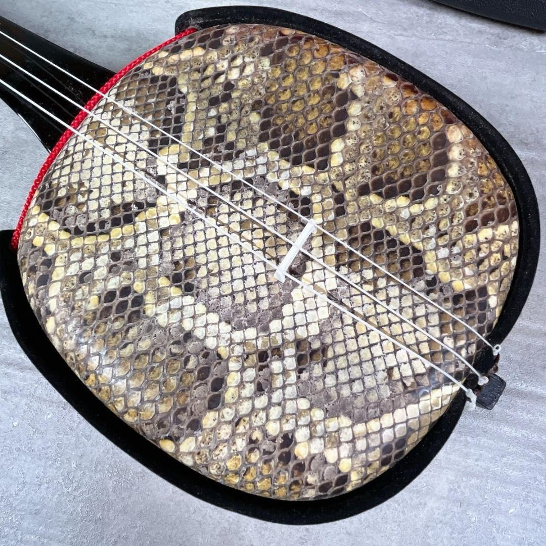 三線 蛇皮 蛇革 強化張り 沖縄 和楽器 ケース