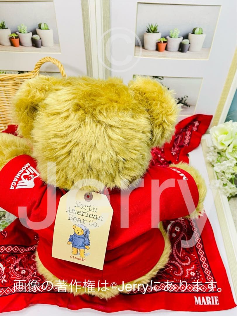 ノースアメリカンベア: MORINAGA MARIE [Ruggles]