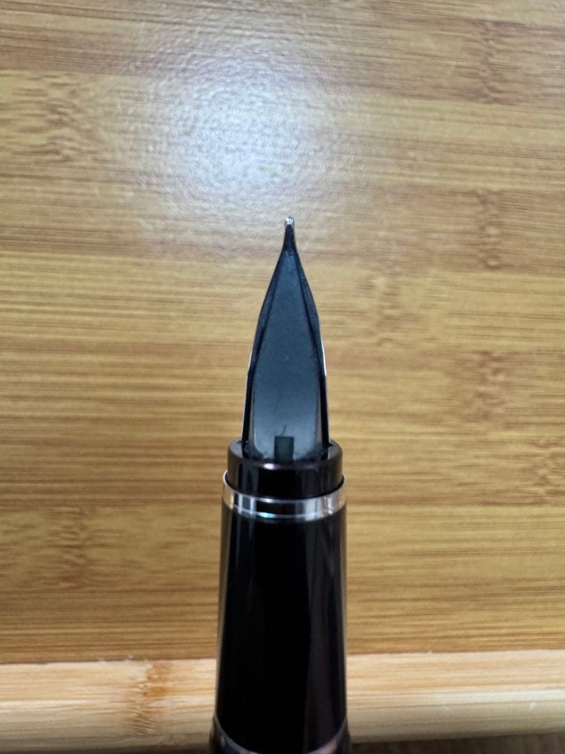 フ*ー様 PILOT 万年筆 エラボー 14Kゴールド 黒