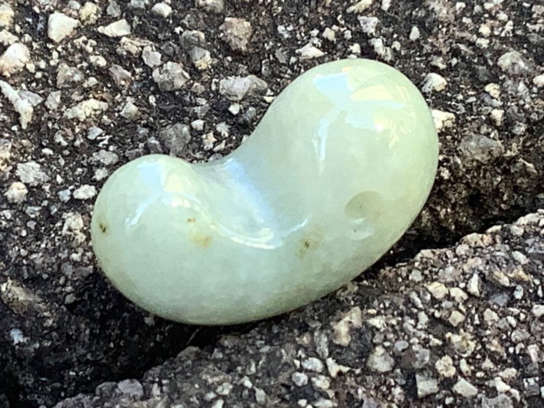 ✳ガラス質のアイスジェイド氷　糸魚川翡翠勾玉　極上高品質‼️ 鑑別書付の希少品を