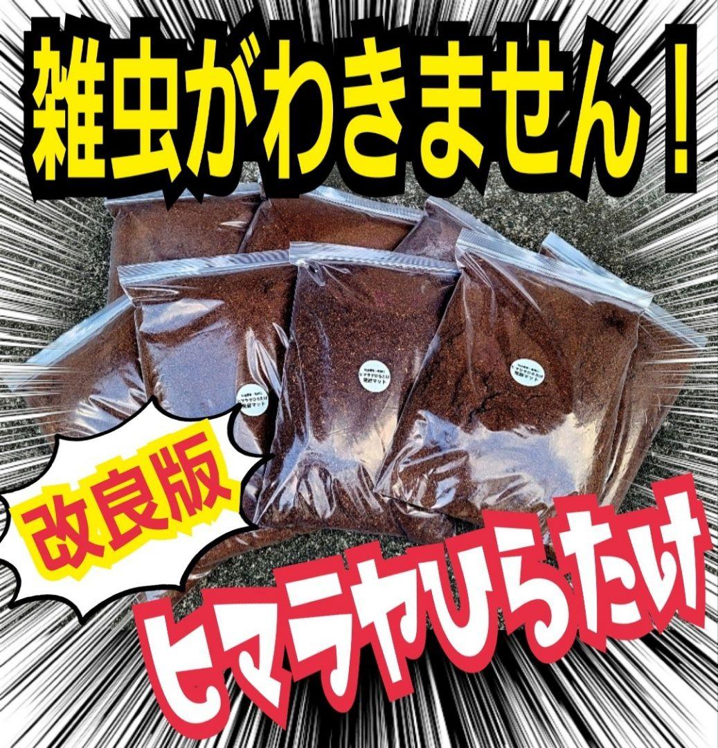 高品質！カブトムシ幼虫の餌　大きくなる！発酵マット【6袋】雑虫が湧きません！