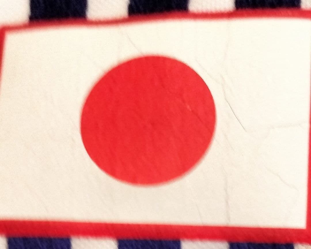 激レア【タグ付デッドストック】アジアカップ2000優勝モデル 日本代表  A