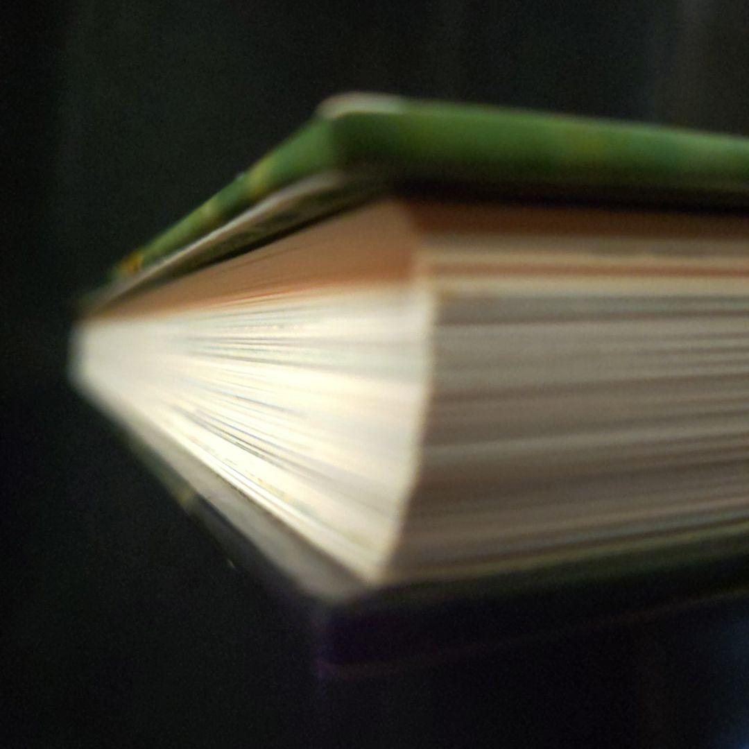 昆虫図鑑付録未使用折りたたみポスター 付海外カブトムシ＆クワガタ昭和58年当時品