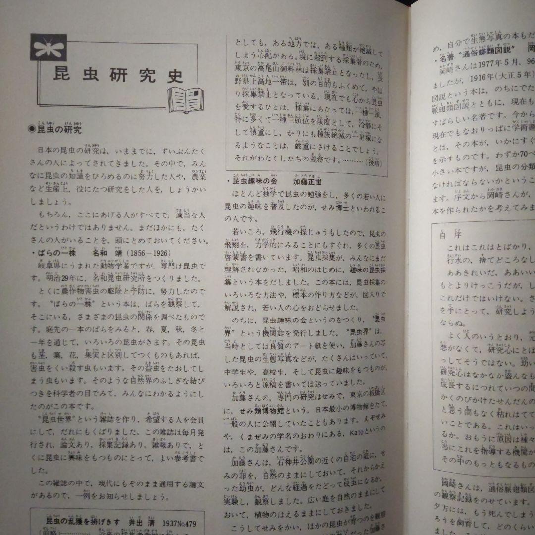 昆虫図鑑付録未使用折りたたみポスター 付海外カブトムシ＆クワガタ昭和58年当時品