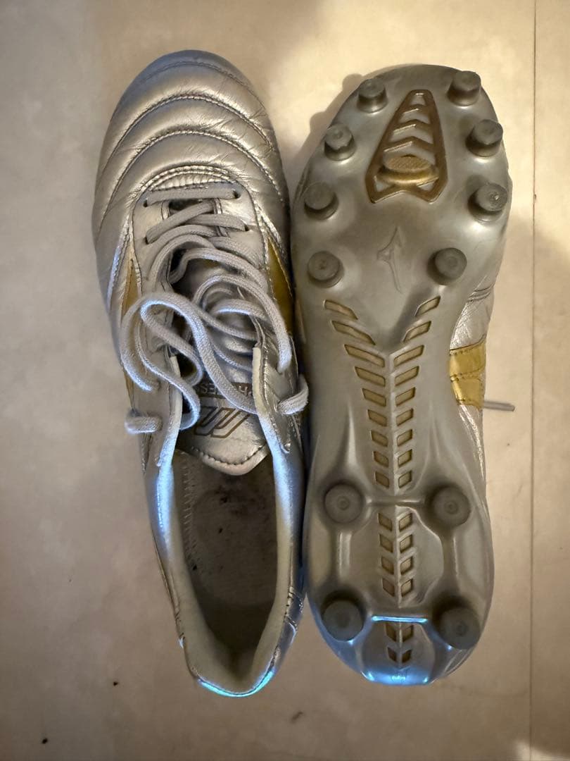 モレリア DNA JAPAN