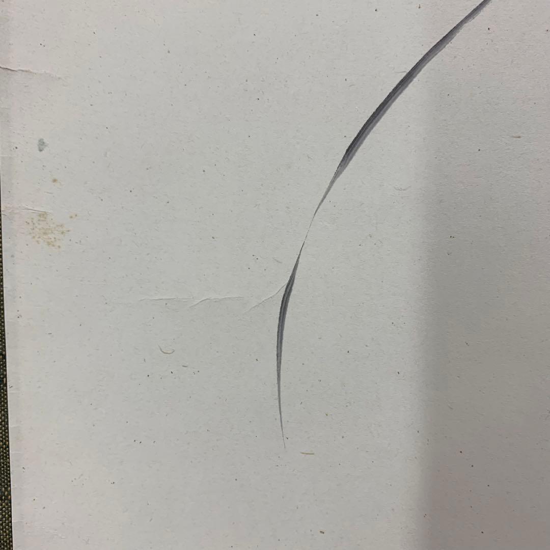 【掛軸】五島青滝「春蘭之図」共箱 二重箱 茶掛 画賛 花 茶道具