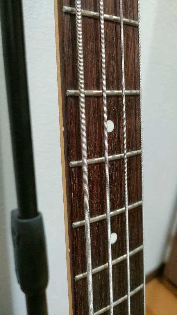 FUJIGEN JPB-5R サンバースト