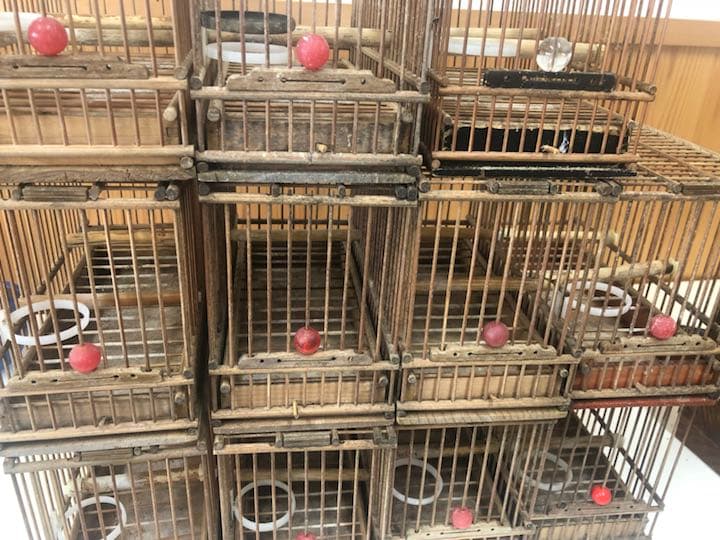 鳥籠