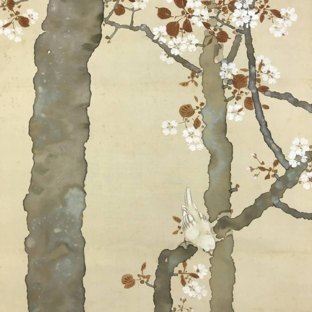 真作/山田耕雲/桜花小禽図/花鳥図/春の掛軸/掛軸/名家伝来/AK-706